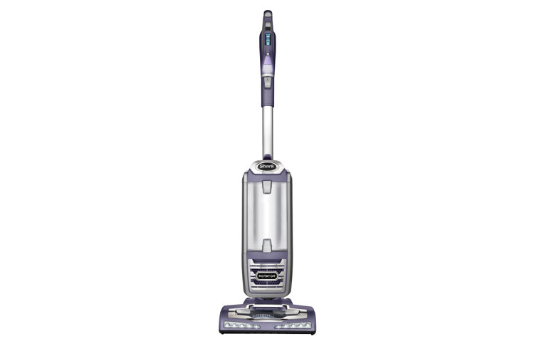 The Best Upright Vacuums for TotalHome Cleaning Wayfair
